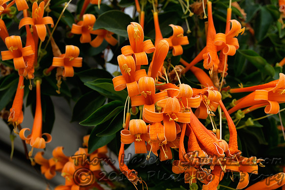 2015-02-02 14-37-11 - SA-Sony-E copy