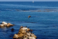 2011-09-18 12-32-28e