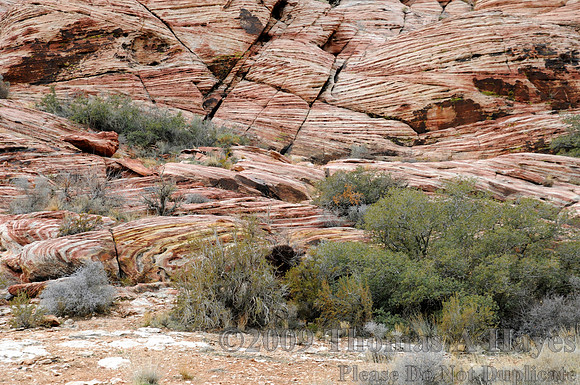 Red Rock Canyon National Conservation Area