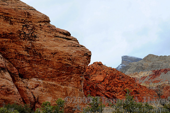 Red Rock Canyon National Conservation Area