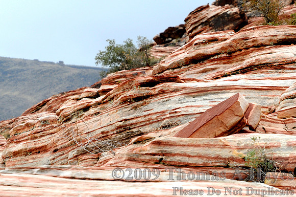 Red Rock Canyon National Conservation Area