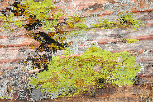 Red Rock Canyon National Conservation Area