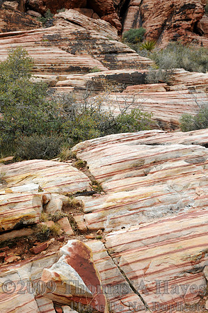 Red Rock Canyon National Conservation Area