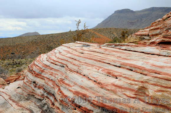 Red Rock Canyon National Conservation Area