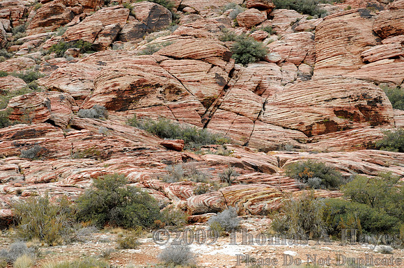 Red Rock Canyon National Conservation Area
