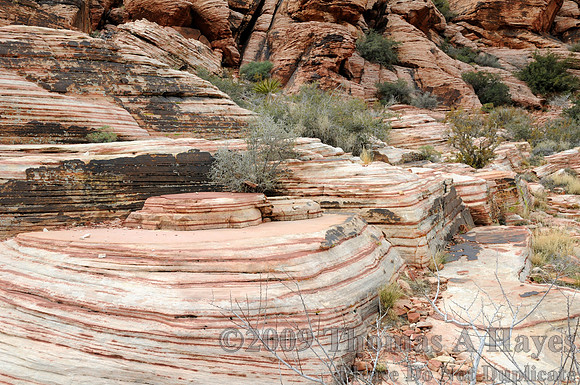 Red Rock Canyon National Conservation Area