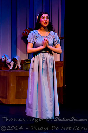 2014-05-25 14-08-24e