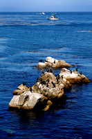 2011-09-18 12-31-35e