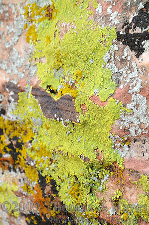 Red Rock Canyon National Conservation Area