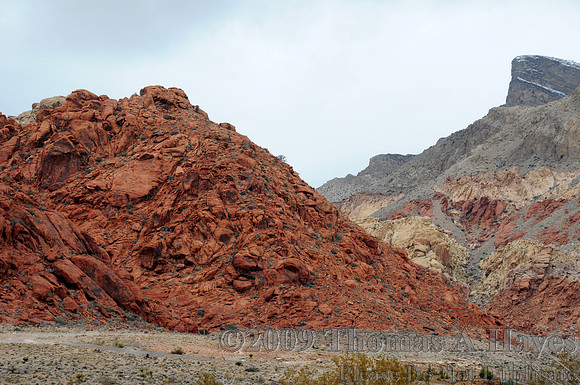 Red Rock Canyon National Conservation Area