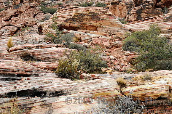 Red Rock Canyon National Conservation Area