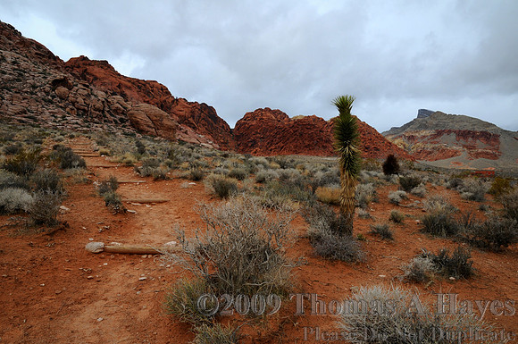 Red Rock Canyon National Conservation Area