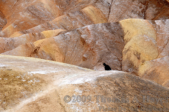 Death Valley