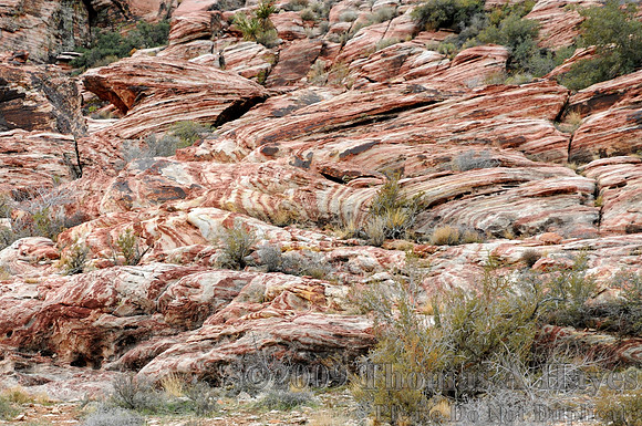 Red Rock Canyon National Conservation Area