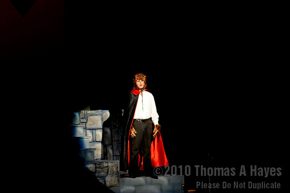 Wish Upon A Star 2010