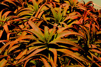 2011-09-18 12-29-27e