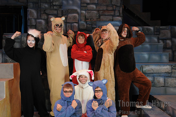 Wish Upon A Star 2010