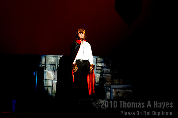 Wish Upon A Star 2010
