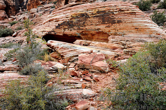Red Rock Canyon National Conservation Area