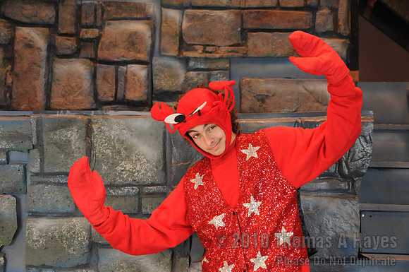 Wish Upon A Star 2010