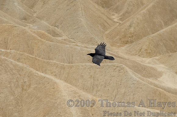 Death Valley